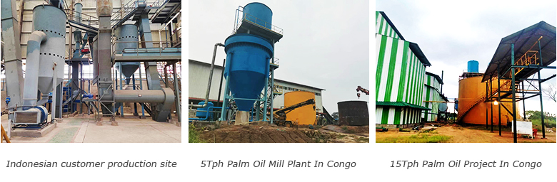 Palm oil refining