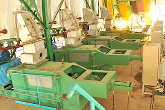 Palm Oil Press Machine